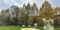 Фото: нацпарка «Русская Арктика» - Пресс-центр Правительства