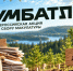 Калужане-победители «БумБатла» смогут вырастить именной лес - Телерадиокомпания Ника