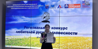 Ученица Громовской школы Козлова Анастасия стала победителем регионального конкурса «Любителей русской словесности». - Газета Приозерские ведомости