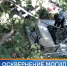 Пнувшая памятник на могиле мужа жительница Камчатки заплатит более 400 тысяч - News.Astv.Ru