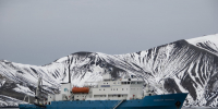 профессор молчанов - ИА Nord-News.Ru