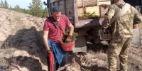 План по осенним посадкам леса в Алтайском крае выполнен почти на 200 процентов - Минприроды Алтайского края