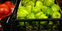 Около 545 кг плодоовощной продукции изъято из оборота в Нижегородской области с начала года - Время Н