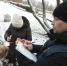 В Татарстане объяснили, почему оплаченные штрафы попадают к приставам - Комсомольская правда Казань