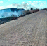 Четыре пожара пришлось тушить в Приамурье за прошедшие сутки - Amur.Life