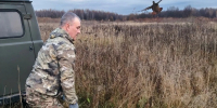 Во Владимирской области состоялся второй этап выпуска куропаток в охотугодья - Комсомольская правда