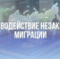 Жительница Самары получила 3 года колонии за фиктивную регистрацию 43 иностранцев - Портал Все мы - Россия!