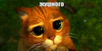. - Областная станция переливания крови