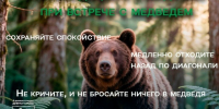 Медведи еще рядом. - Город Дивногорск