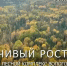 Почти на треть увеличились поступления в бюджет Вологодской области от использования лесов - Региональное Агентство Новостей