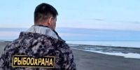 На Сахалине с начала года изъяли 2,7 тонны незаконно добытой рыбы и 172 кг икры - Sakhpress.Ru