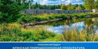 В Брянской области закрыли доступ к ручью  - БрянскНОВОСТИ.RU