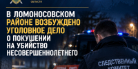 В Ломоносовском районе возбуждено уголовное дело о покушении на убийство несовершеннолетнего - Следственный комитет