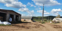 В Пермском крае Россельхознадзором сельхозпредприятие привлечено к ответственности за нарушения при содержании крупного рогатого скота - Россельхознадзор