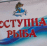 Новгородцы смогут купить рыбу напрямую от промысловиков 31 октября - Новгородское областное телевидение