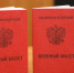 МВД: отсутствие военного билета может стать основанием для отказа в оформлении загранпаспорта - Spbdnevnik.ru