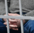 Житель Печоры ответит в суде за попытку задавить росгвардейца - Комсомольская Правда