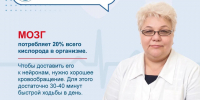 Сосуды головного мозга не любят равнодушия": врач назвала 5 правил, как избежать инсульта - Приволжский район