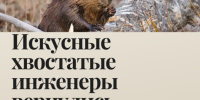 Осенние каникулы в музее: афиши мероприятий - Краеведческий музей