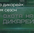 Поделитья во ВКонтакте - Братская Студия Телевидения