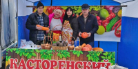 Касторенцы на ярмарке в Курске - Газета Вести