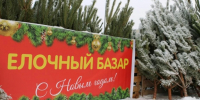 В Октябрьском округе идет прием документов для торгов на размещение елочных базаров. - Администрация города