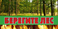 Вниманию лесопользователей! - Комитет по лесному хозяйству