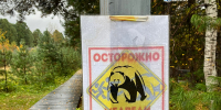 По деревням в Приангарье рыскает неуловимый медведь - ИА Байкал-Daily