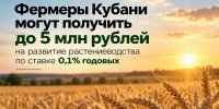 Фермеры Кубани могут получить до 5 млн рублей на развитие растениеводства по ставке 0,1% годовых - Министерство сельского хозяйства
