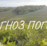 Прогноз погоды с 29 по 31 октября - Кувандыкский городской округ