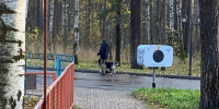 70 костромичей оштрафовали за нарушение правил выгула домашних животных - ГТРК Кострома