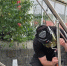 В туапсинской поликлинике ремонтируют входную группу - Туапсинский муниципальный округ