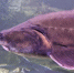kaluga-poisk.ru - Kaluga-Poisk.Ru