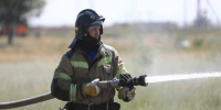 Лесной пожар ликвидировали под Волгоградом - Газета Городские вести