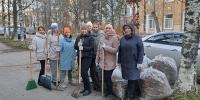 «Зачем вы кинулись убирать листву?»: возмущенным осенней уборкой ухтинцам ответили в администрации - Pro Город Ухта