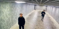 В Липецке двое подростков повредили потолок и камеру в подземном переходе - Комсомольская Правда