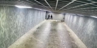 Подростки вновь разгромили подземный переход в Липецке - МОЁ! Липецк