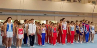 Спортивная гимнастика – опять не наш конёк? - Gorod48.ru