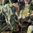 image-27-10-26-02-44-7.heic.jpeg - Департамент Соцзащиты