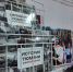 "Историю Тюмени в фотографиях" презентовали в институте культуры - ГТРК Регион-Тюмень