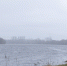 Фото: ПАИ - InformPskov.Ru