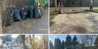 ​Сезонная уборка в разгаре и активно продолжается! - Газета Истра сегодня
