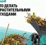 Наступило время уборки сада и придомовой территории во всех поселениях Ейского района - Администрация Ейского района