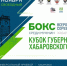 С 3 по 7 ноября Хабаровский край впервые примет Всероссийский "Кубок Губернатора" по боксу - Правительство Хабаровского края