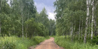 Фото из телеграм-канала прокуратуры РХ - Пульс Хакасии