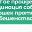 5 и 6 ноября в Гае пройдет бесплатная вакцинация собак и кошек против бешенства - Гайский городской округ