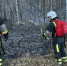 Лесной пожар возле села Лох удалось ликвидировать - Четвертая Власть