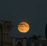 Целых 7 событий в ночном небе смогут наблюдать воронежцы - Bloknot-Voronezh.Ru