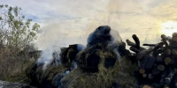 В орловском селе загорелся стог сена - Орловский Вестник