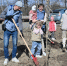 Никакой экзотики: Хабаровск делает ставку на местное озеленение Пресс-служба администрации Хабаровска - AmurMedia.Ru